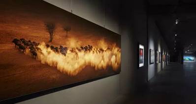 向大师精神致敬三星LED助力罗红摄影艺术馆开展(图2)