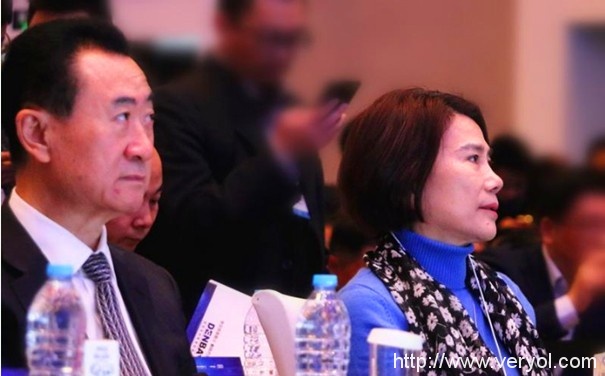 王健林站队董明珠,无人机会成2017新风向吗?(图1) 1482741617202039205