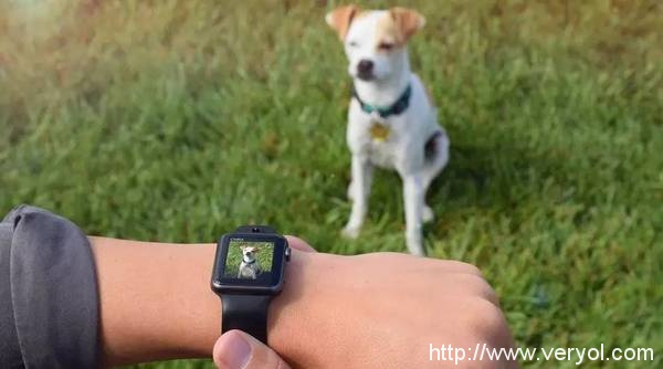 又一款Apple Watch表带诞生 内置索尼双摄像头(图2) 3