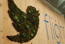 Twitter要被掏空吗？首席技术官离职！