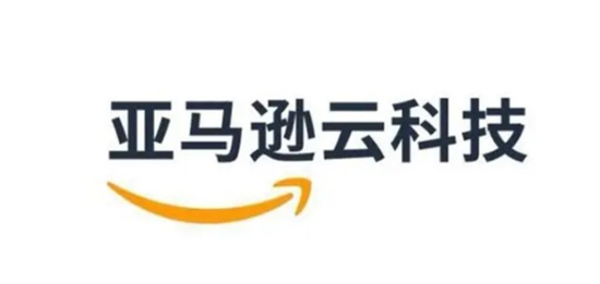 跨境电商也是技术活——亚马逊、新蛋双双荣获 数字化赋能创新大奖(图4)