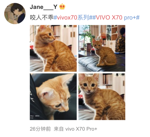 双冠军霸榜 vivoX70系列首销势如破竹(图5) 双冠军霸榜 vivoX70系列首销势如破竹(图5)