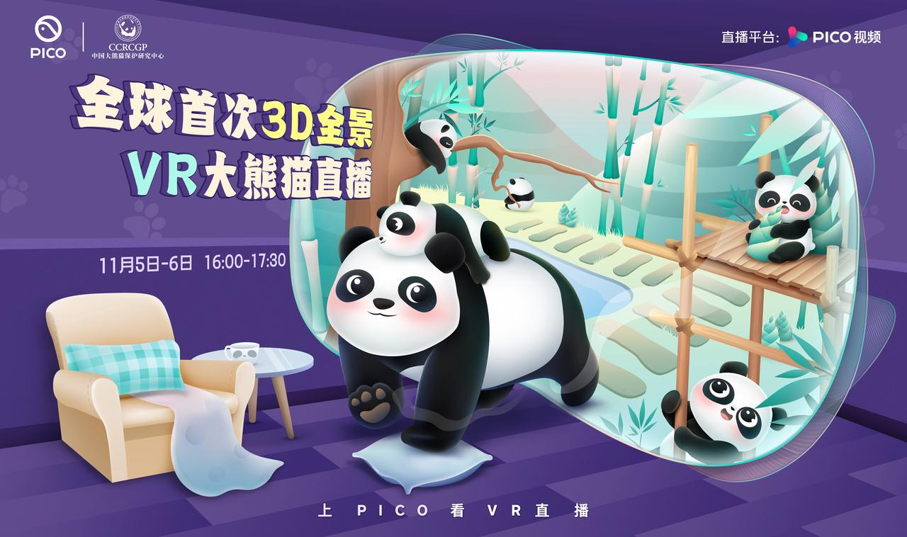PICO联合中国大熊猫保护研究中心，全球首次呈现3D全景VR大熊猫直播(图1)