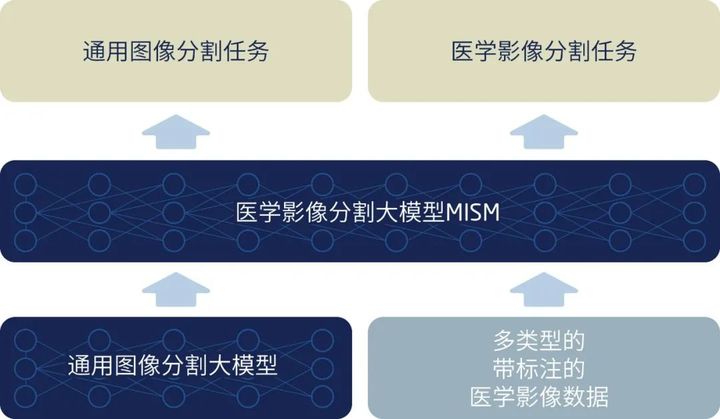 全新升级｜东软发布基于医学影像大模型的飞标平台4.0版(图2)