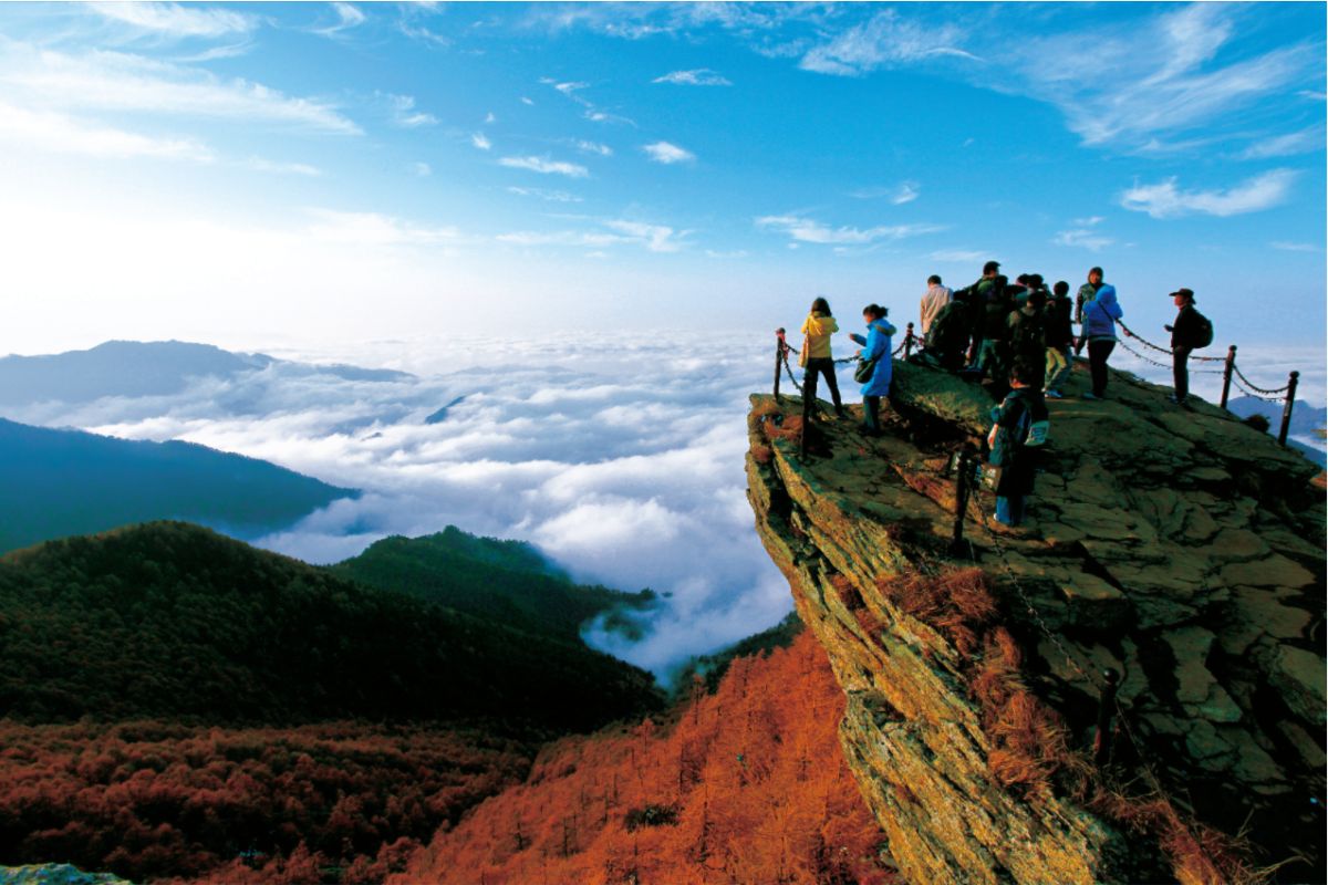 推动全球碳标准，引领可持续发展--太白山·可持续发展指数发布会成功召开(图10)