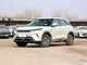 比亚迪 元UP 2025款 301KM 领航型