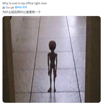 地球上发现的外星人实体内还有三颗蛋？