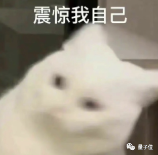 特斯拉自动驾驶造假实锤：撞车片段被删、所有功能均为预编程