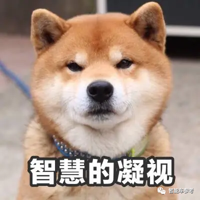 能越野的城市SUV！新款哈弗大狗上市：顶配才有副驾电动调节