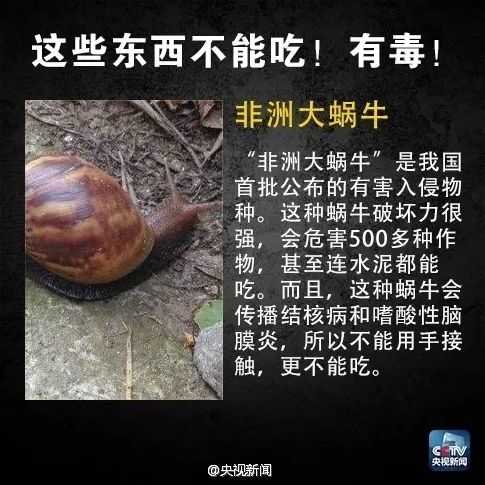 别吃、有剧毒!严重可致命:目前尚无特效药