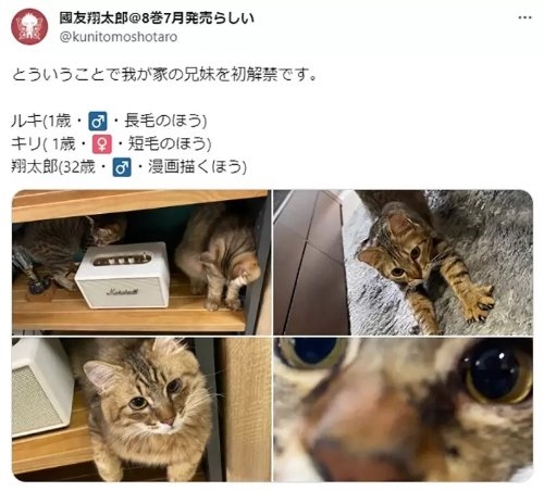 日本漫画家休刊理由太奇葩 网友吐槽但表示理解