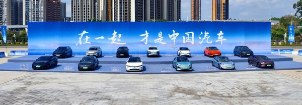 李楠称中国手机厂商内战内行愚蠢可笑 支持比亚迪主张