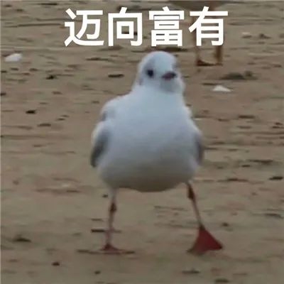 你信不信印度外卖只要10分钟就能送到