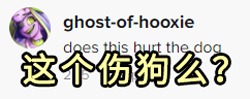 老外用虫子接吻器狂亲蚯蚓：连苍蝇路过都要被嘬两口！