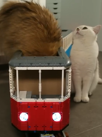 大神用乐高给猫咪造了一辆火车：隔壁狗子馋哭了！