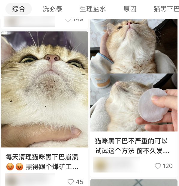 当我奶奶都开始用小红书:搜索引擎们不妙了