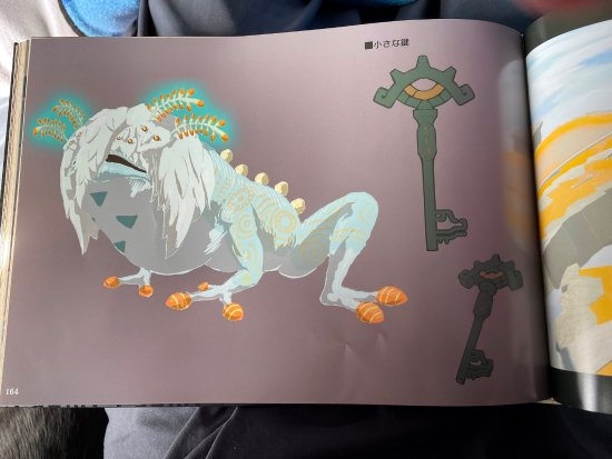 《塞尔达传说:王国之泪》收藏版偷跑!艺术画集内容曝光