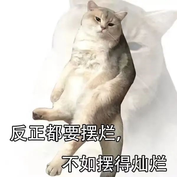 梅西夺冠 最高兴的可能是这只“兔子”