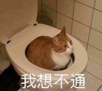 最抽象的越狱！巴西一小哥钻洞逃跑被卡住：狱警救了三小时