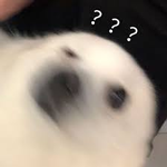 百度AI画出的中国菜越看越瘆人:鱼香肉丝都变异了