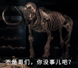 把灭绝的猛犸象做成了肉丸却无人敢吃 专家:闻起来像是烤鳄鱼