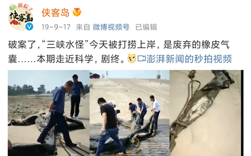 现场视频曝光 男子称拍到5米长不明生物:快到岸边时直接消失