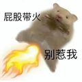 日本推出佛祖版ChatGPT:已经为20多万人解决烦恼