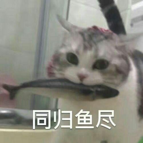 日本要排30年核污水：国际原子能机构神甩锅