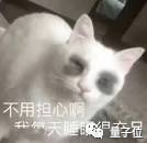 最新研究：偶尔熬夜竟能缓解抑郁！