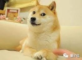 一个月涨粉翻倍,摄影博主慌了:照片都是假的、它们根本不是人