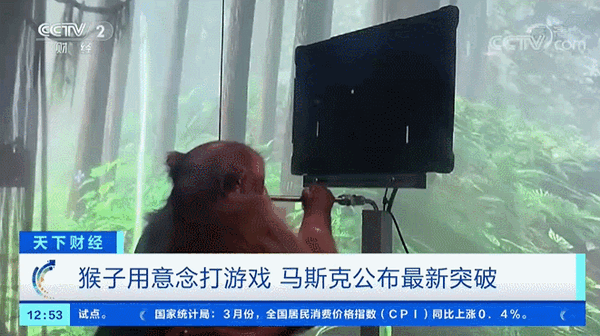 马斯克脑机接口迎重要进展:获准首次人体试验 曾让猴子用意念打游戏