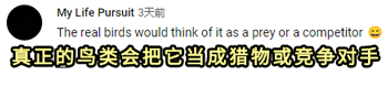 把死鸟尸体改造成无人机:这是用亡灵科技制作生物间谍?