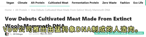 把灭绝的猛犸象做成了肉丸却无人敢吃 专家:闻起来像是烤鳄鱼