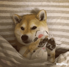 小姐姐们愤怒：为什么全身上下 脸部的皮肤最差？