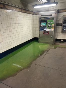 纽约下水道冒出荧光绿水：这是忍者神龟掉色了吗