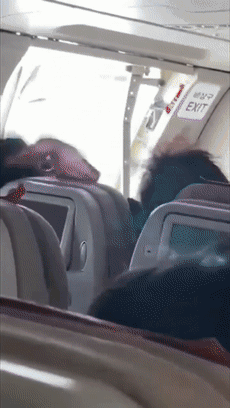 韩国老哥200米高空强开飞机舱门:类似的狠人还真不少!