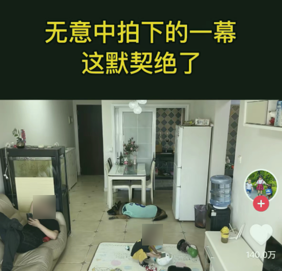 假装肝癌 真相离奇：我不敢再相信任何视频了