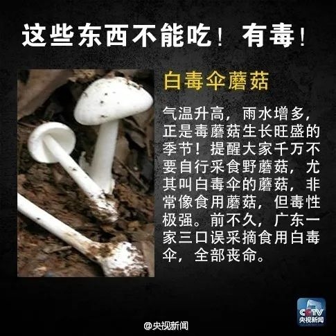 别吃、有剧毒!严重可致命:目前尚无特效药