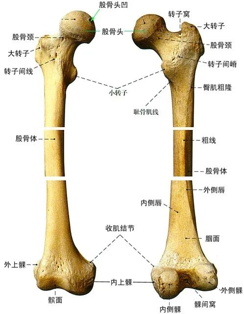 用一个圆柱体包裹埃菲尔铁塔：里边的空气 居然比塔还重