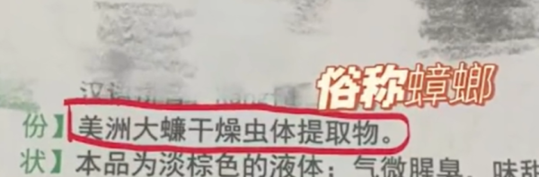 好家伙 治疗我口腔溃疡的神药居然是蟑螂水!