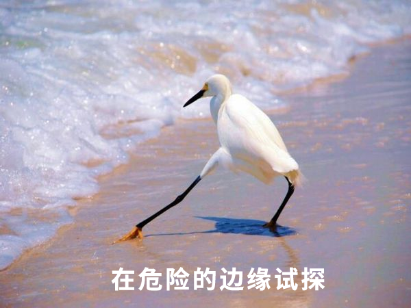 爱奇艺TV版白嫖用户带宽！你薅羊毛前好歹说一声啊
