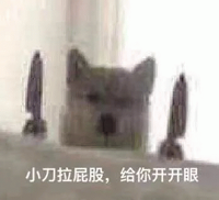 妹子穿卡戴珊紧身衣身中4枪都没死 这是穿了防弹衣吗？