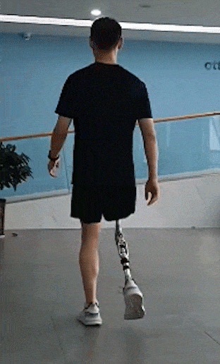 蘑菇都被拿来做电脑了!就不怕电脑真的“死机”吗?