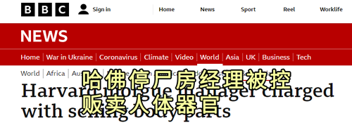哈佛员工倒卖尸体！4000块卖两张脸、还带人进停尸房挑拣