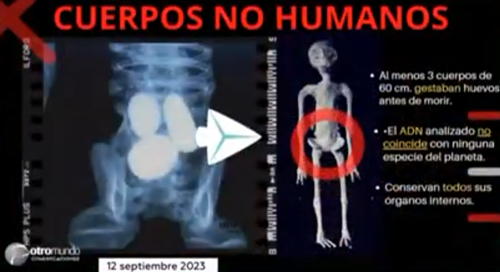 地球上发现的外星人实体内还有三颗蛋？