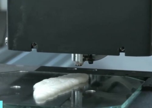 全球首块3D打印鱼片出炉:可直接烹饪 肉质鲜嫩多汁
