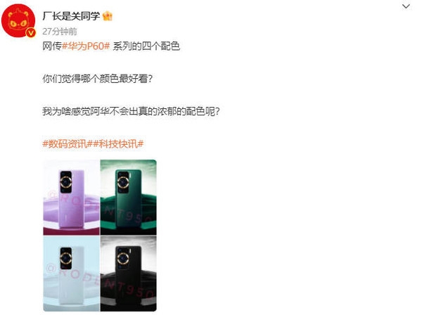 华为P60系列四个全新配色曝光!这颜值还不得卖爆