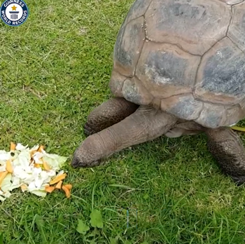 最快两个人一起做三明治要多久：今年吉尼斯世界纪录狠活儿太多了！