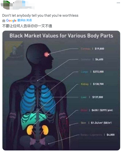 哈佛员工倒卖尸体！4000块卖两张脸、还带人进停尸房挑拣