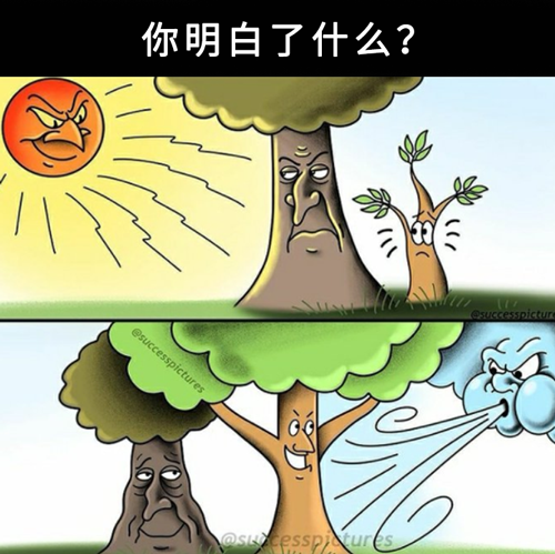 中国人给心灵鸡汤下毒后：看完笑不活了！